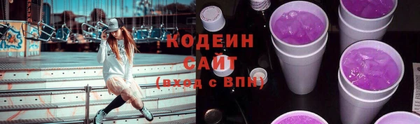 прущие грибы Краснотурьинск
