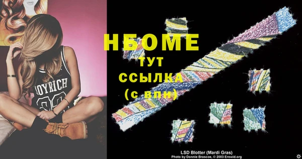 стафф Кодинск