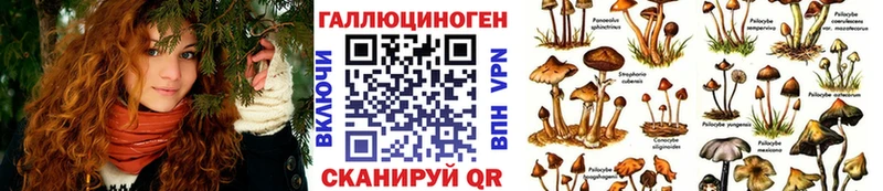 Псилоцибиновые грибы Psilocybe  Краснозаводск 
